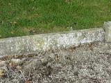 image of grave number 219496